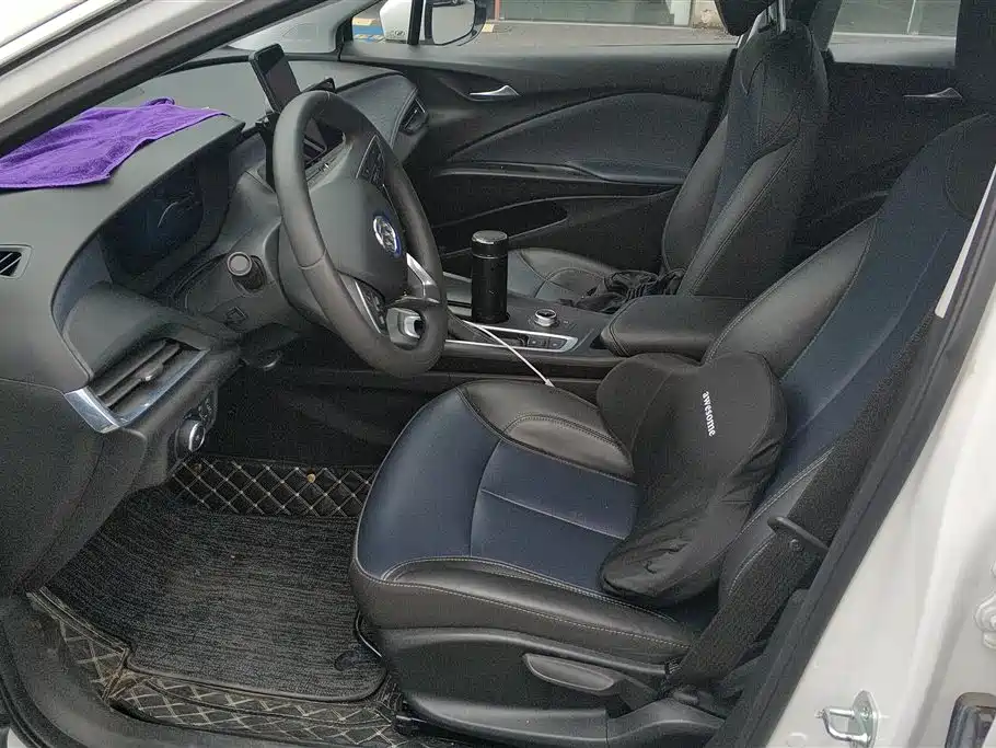 Buick Slightly blue 6