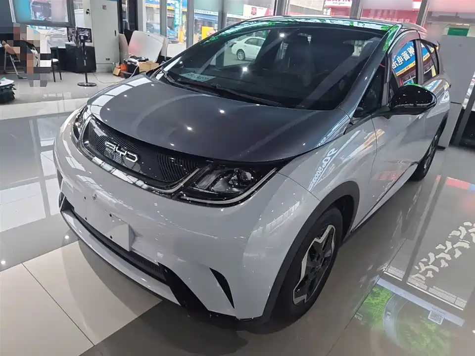 BYD dolphin