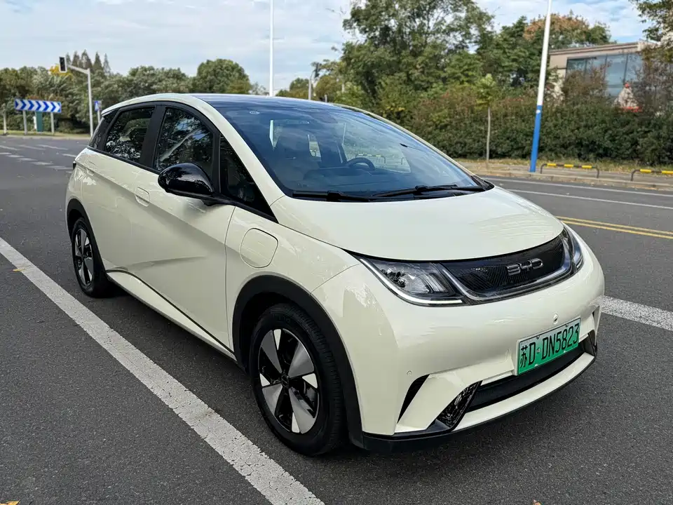 BYD dolphin