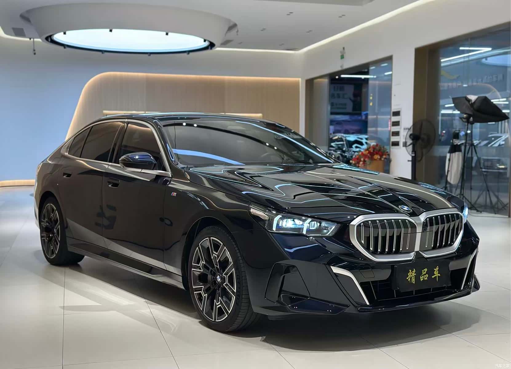 BMW 5 Series, 2025 3