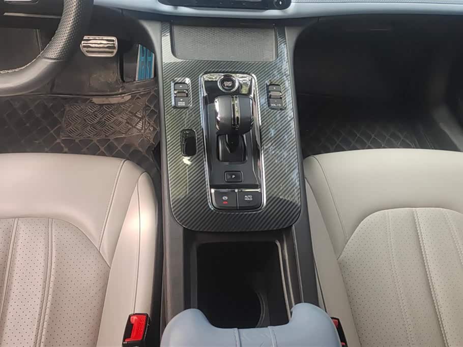 Trumpchi Shadow Leopard