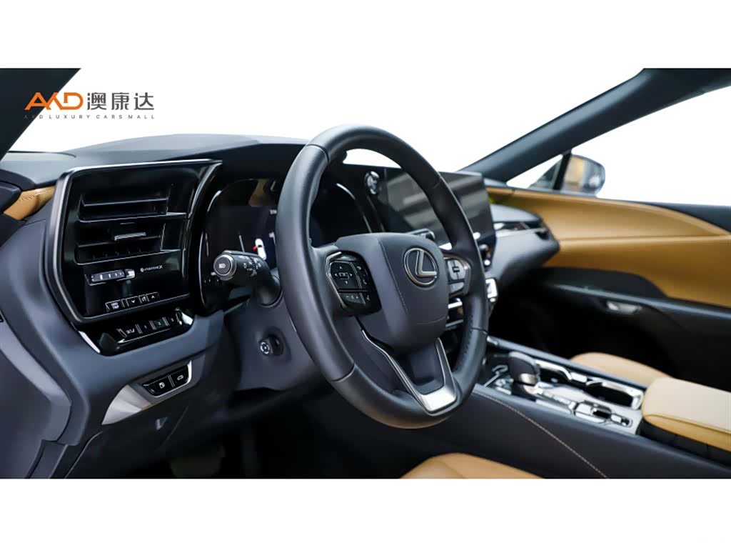 Lexus RX, 2025 6