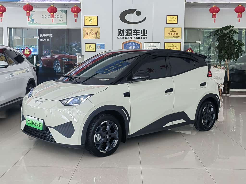 BYD Seagull