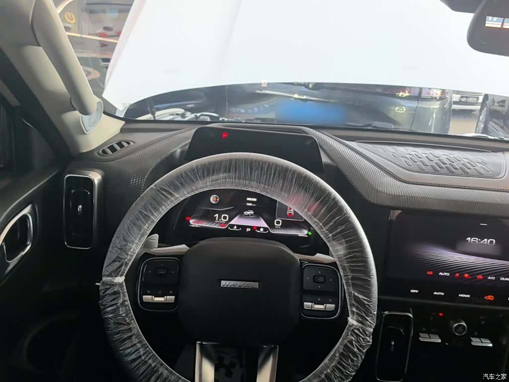 Haval Big Dog, 2021 10