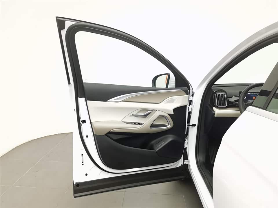 BYD Songjiang