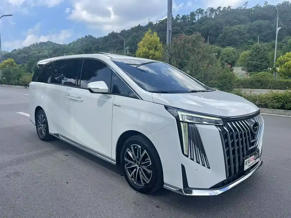 Trumpchi Trumpchi M8
