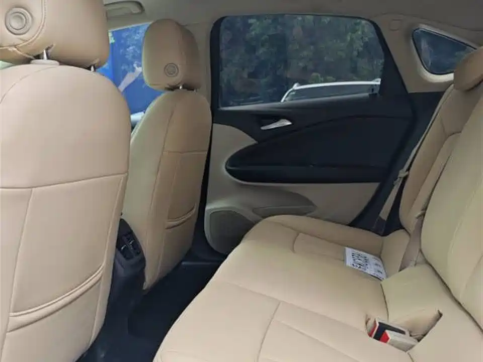 Buick Weilang