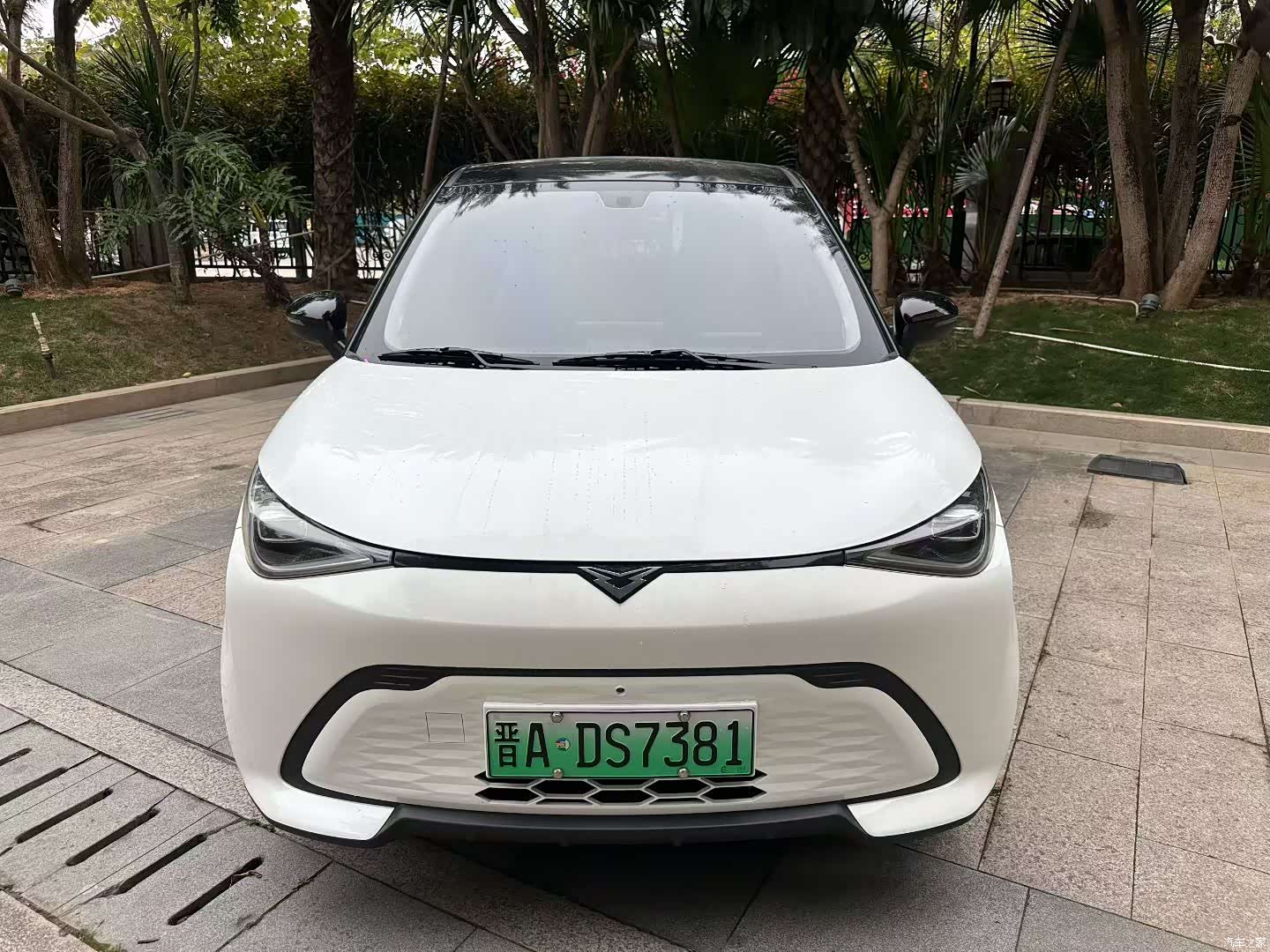 Cowin Mate, 2025 1