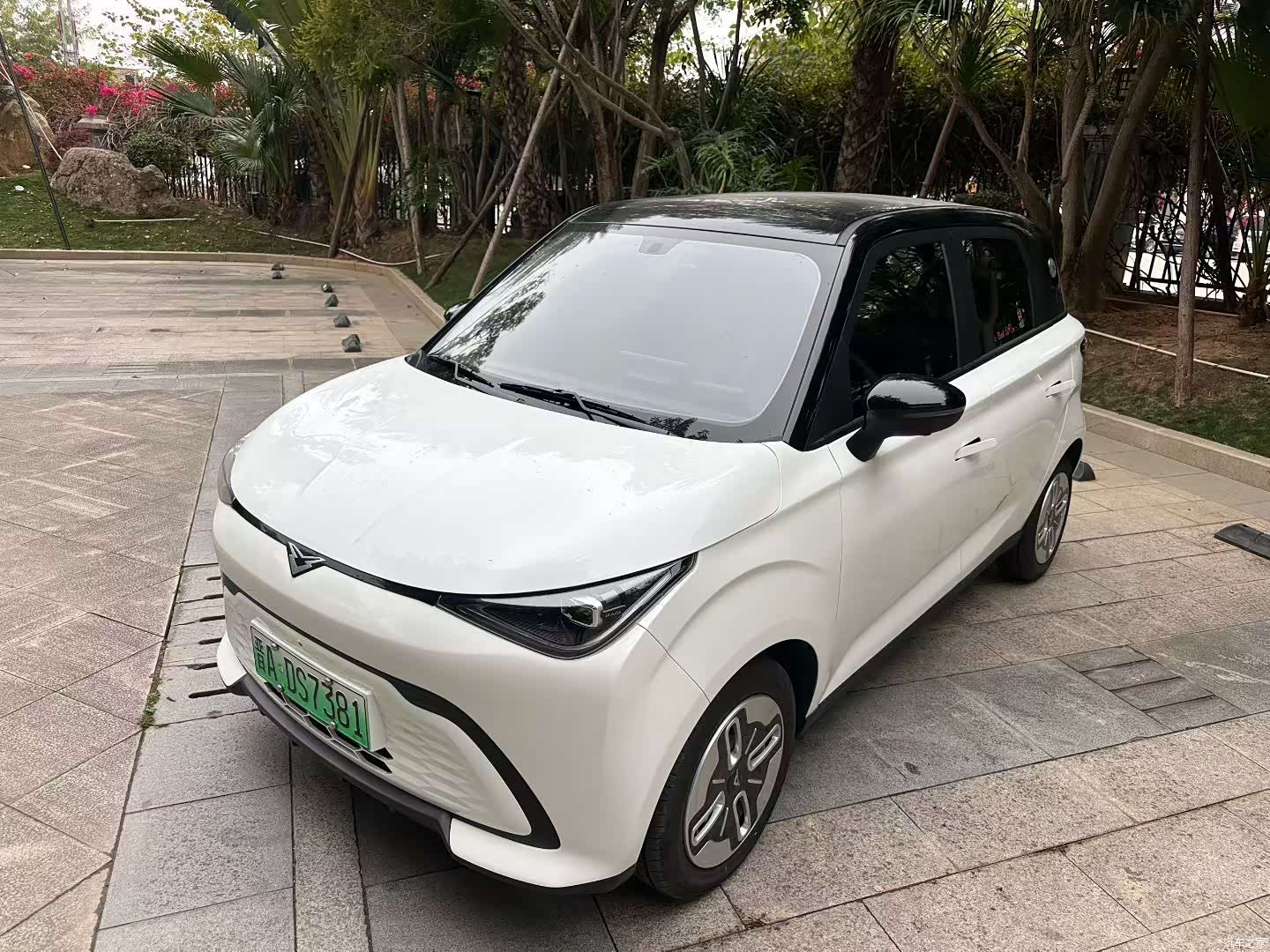 Cowin Mate, 2025 2
