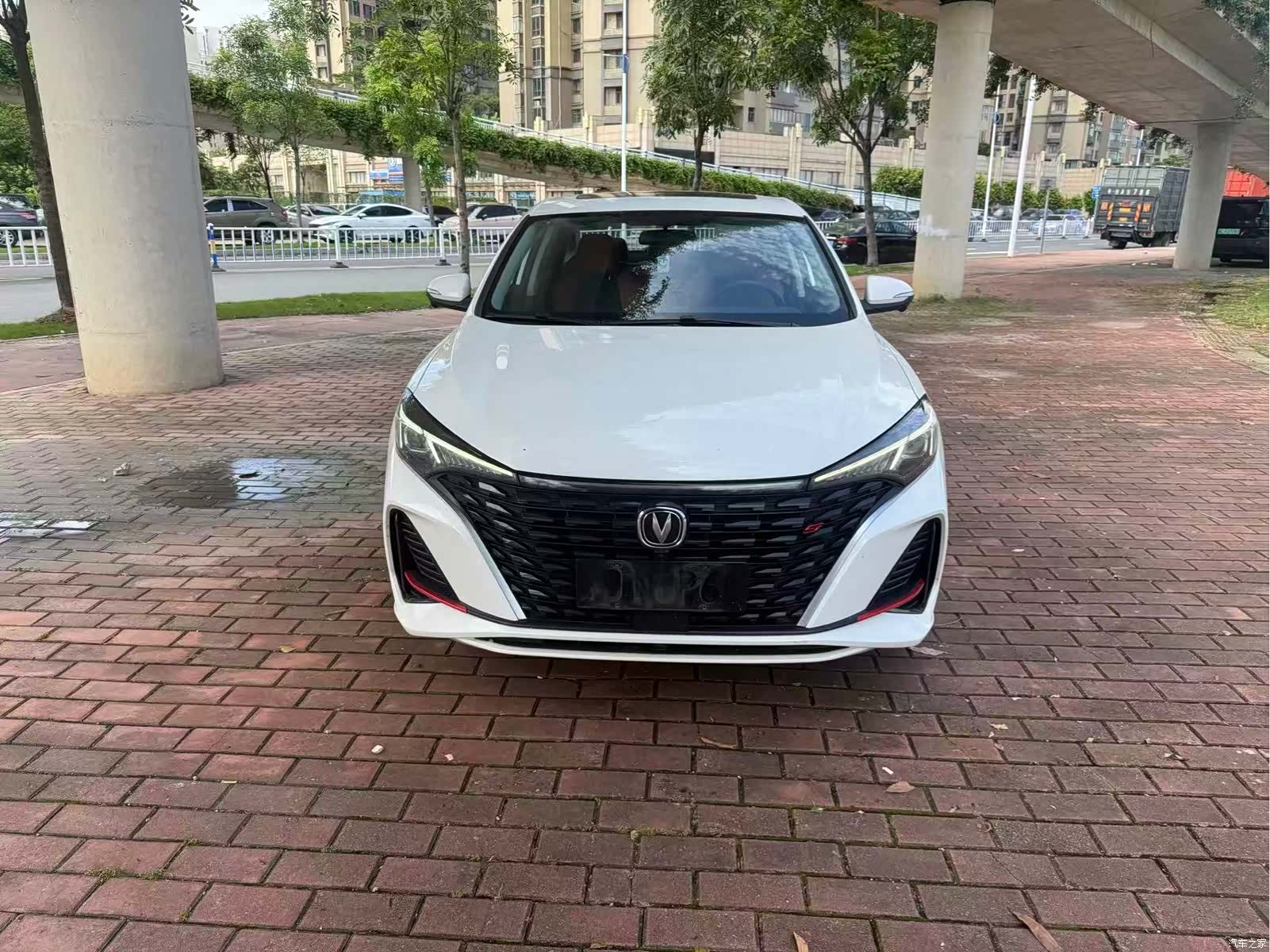 Changan Eado, 2023 2