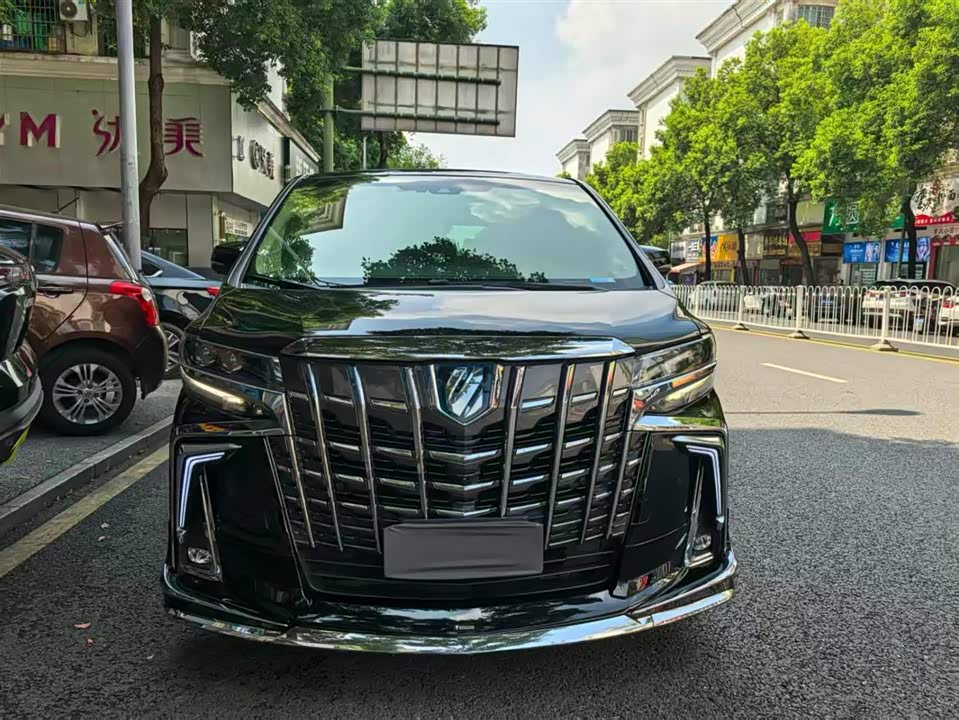 Toyota Elfa