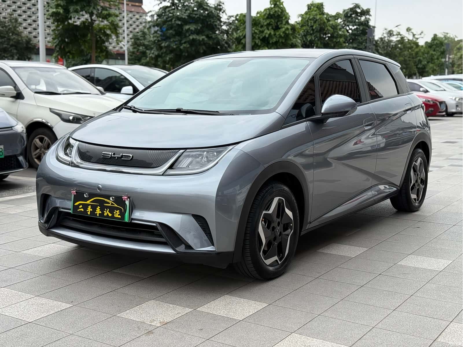 BYD Dolphin, 2022 1