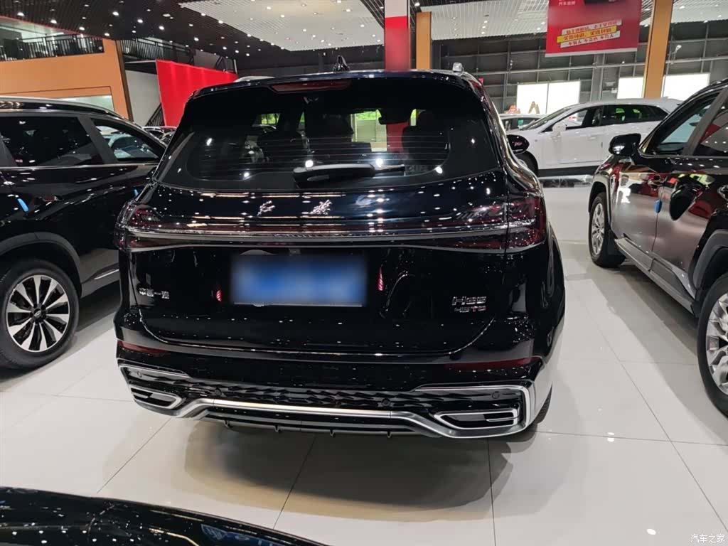 Hongqi HS5, 2023 12