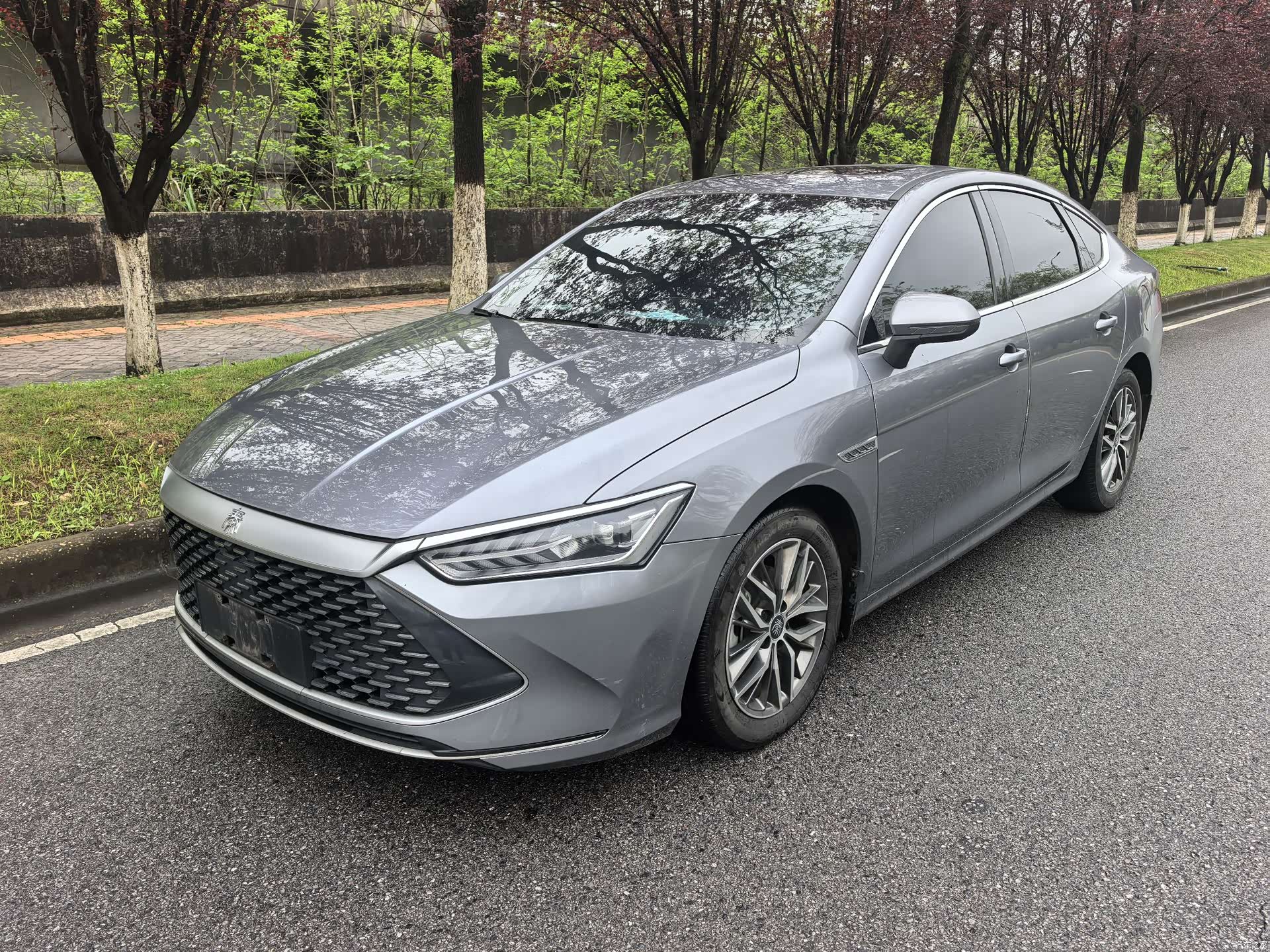 BYD Qin, 2022 1