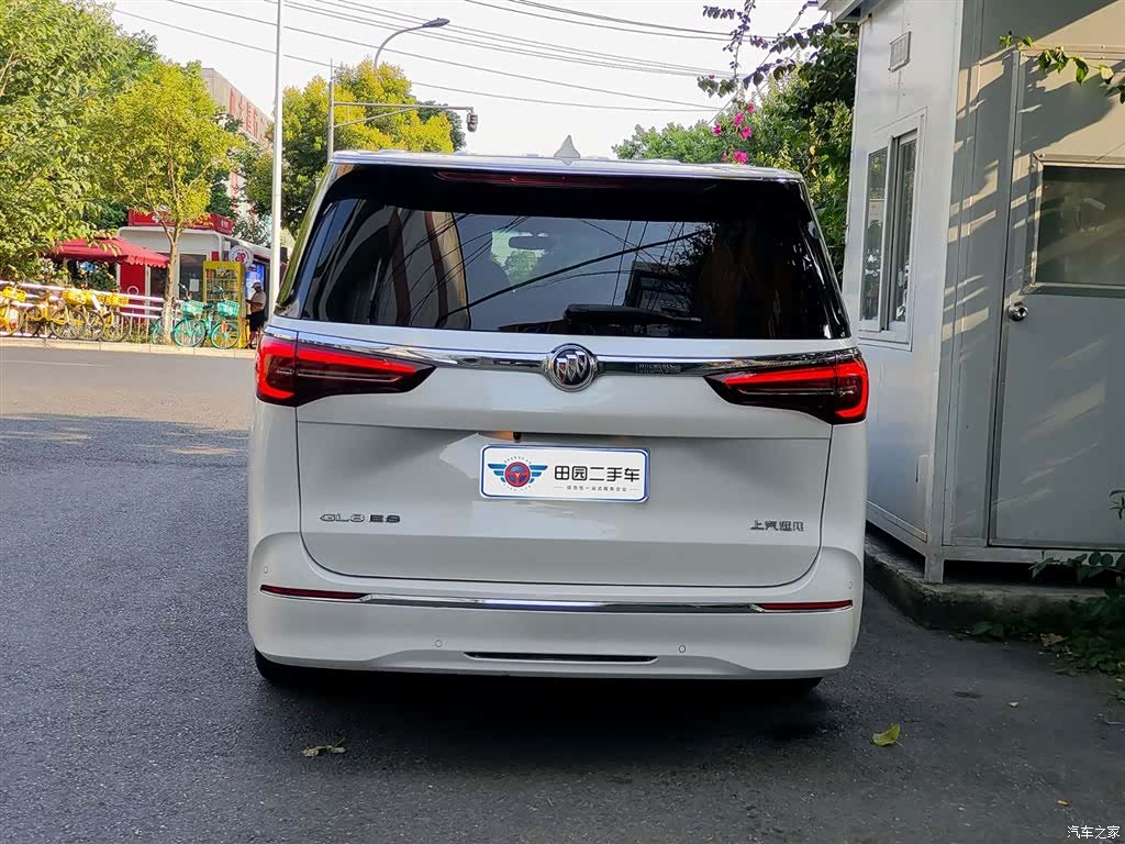 Buick GL8, 2023 все фото