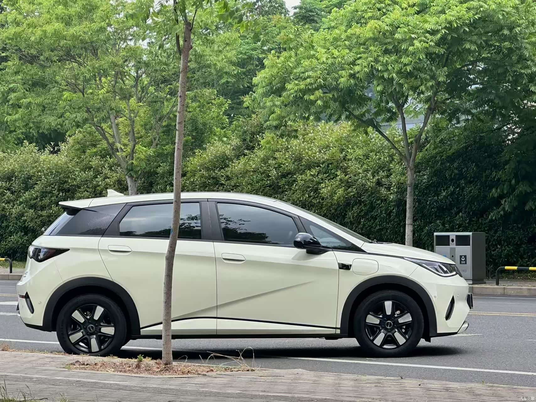 BYD Dolphin, 2025 2