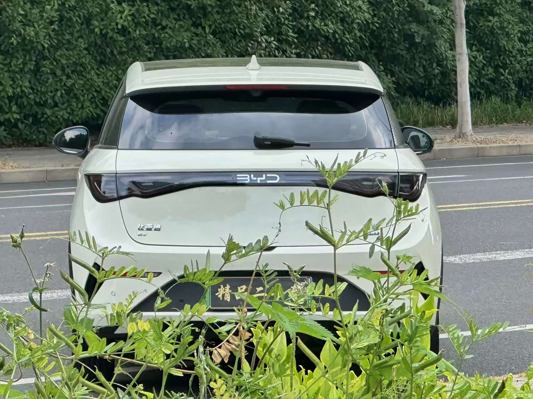 BYD Dolphin, 2025 8