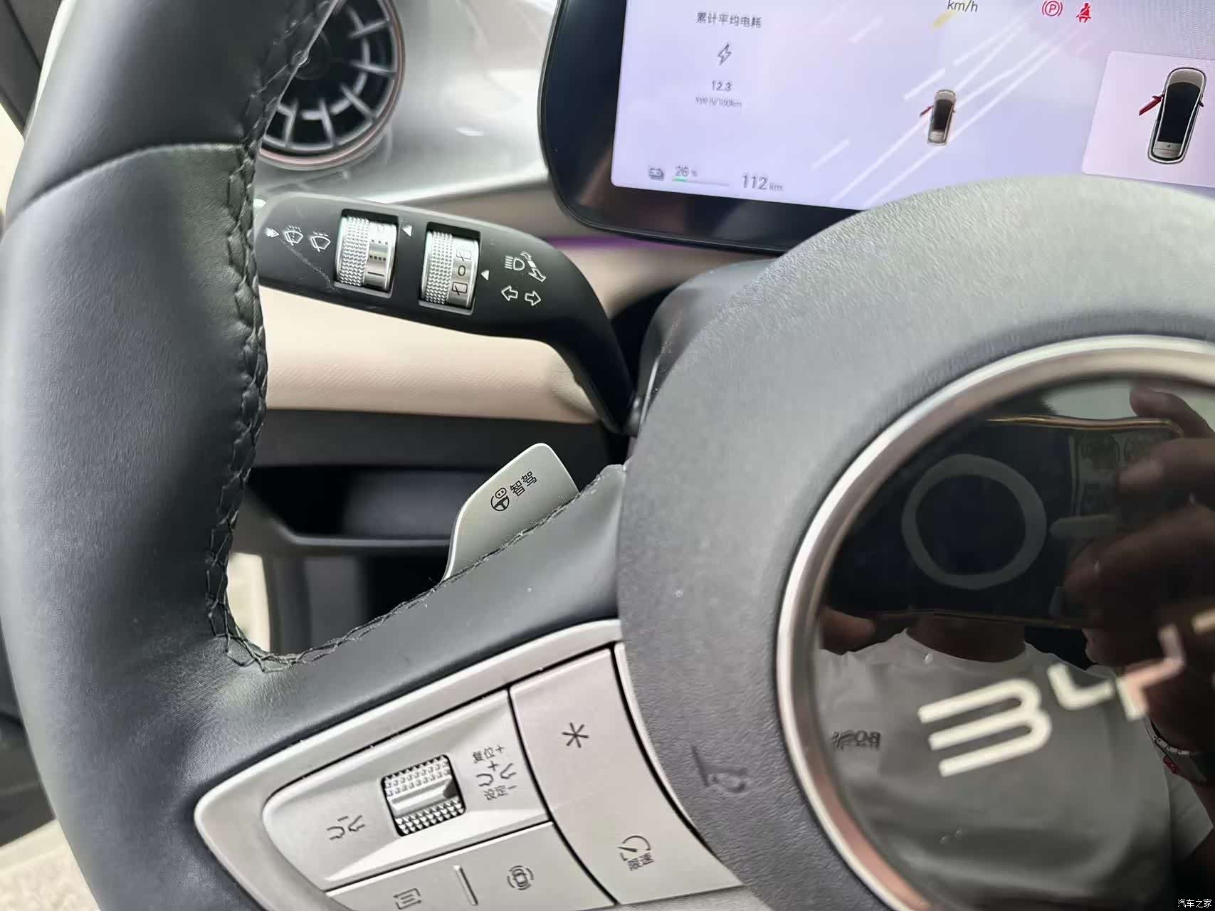 BYD Dolphin, 2025 18