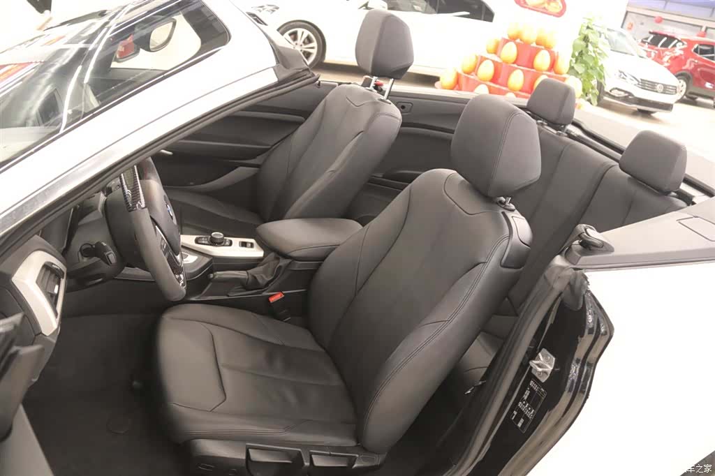 BMW 2 Series, 2017 14