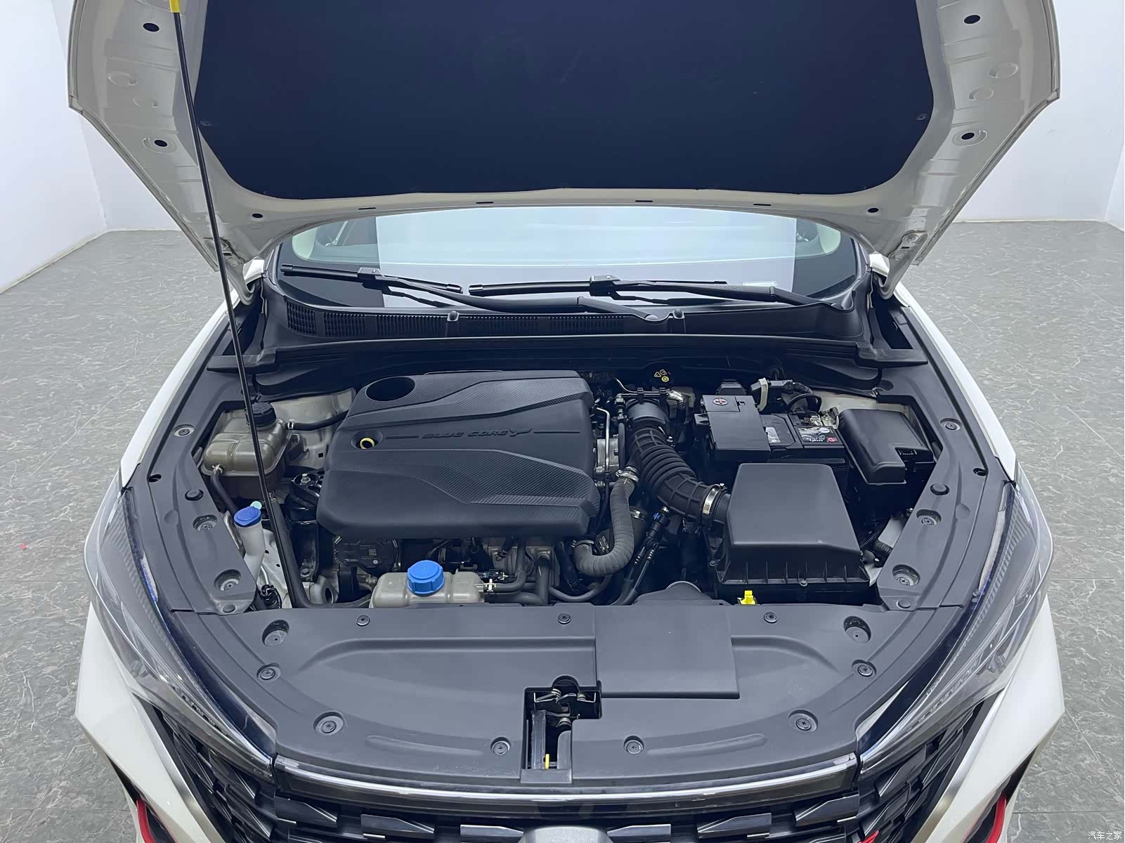 Changan Eado, 2023 17