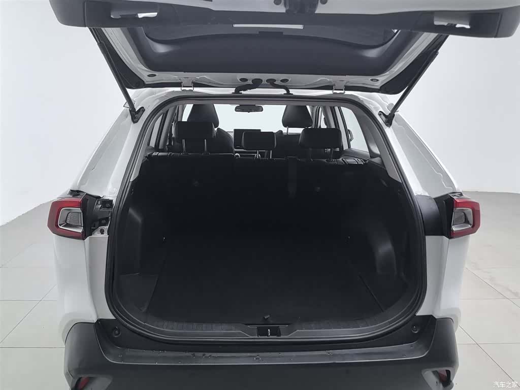Toyota Wildlander, 2021 16