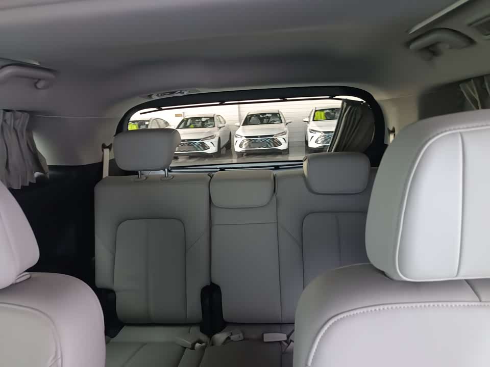 Trumpchi Trumpchi M8