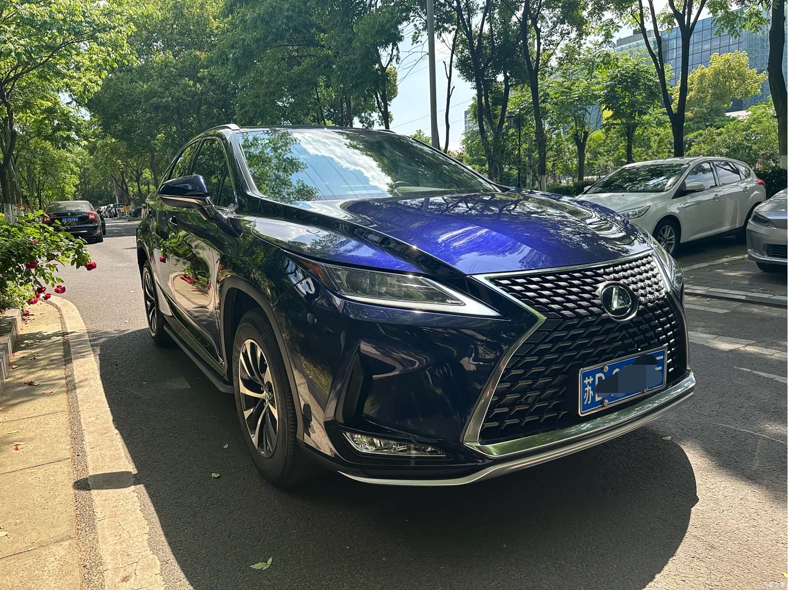 Lexus RX, 2021 3