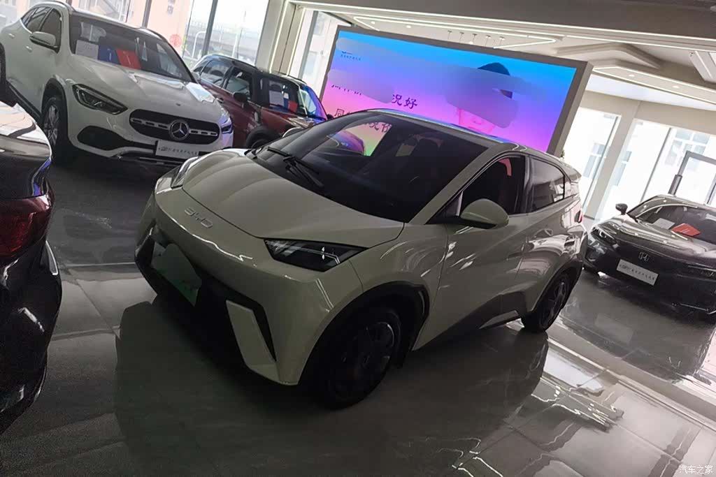BYD Seagull, 2023 1