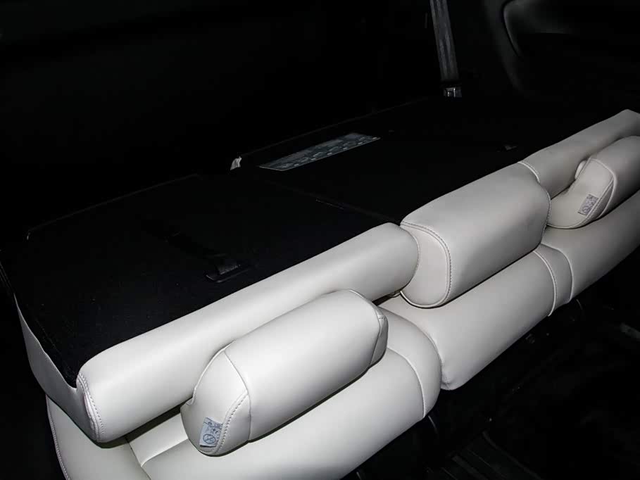 Trumpchi Trumpchi E9 Trumpchi Trumpchi E9