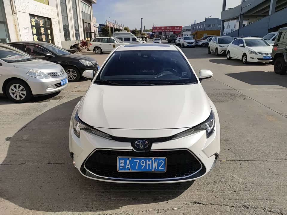 Toyota Lei Ling