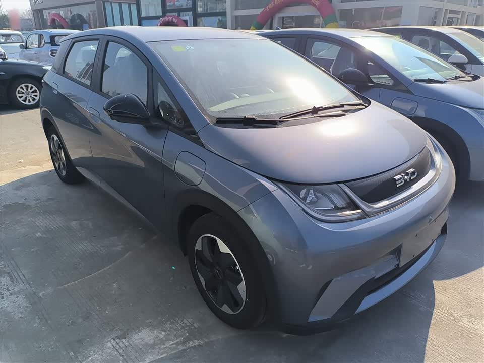 BYD dolphin