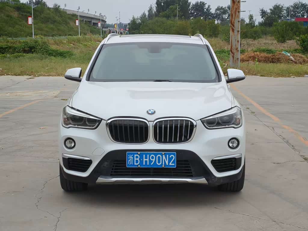 BMW X1 2019 sDrive20Li Lead