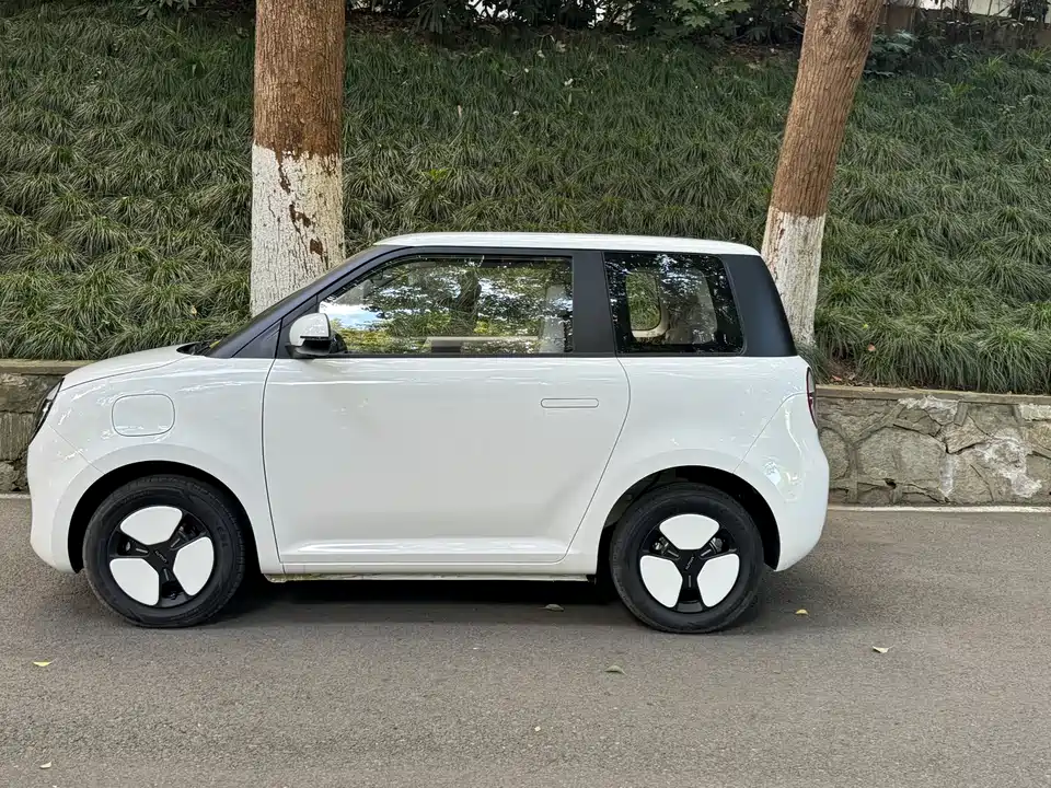 Changan Changan Lumin Changan Changan Lumin