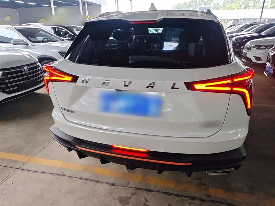 Haval Divine beast