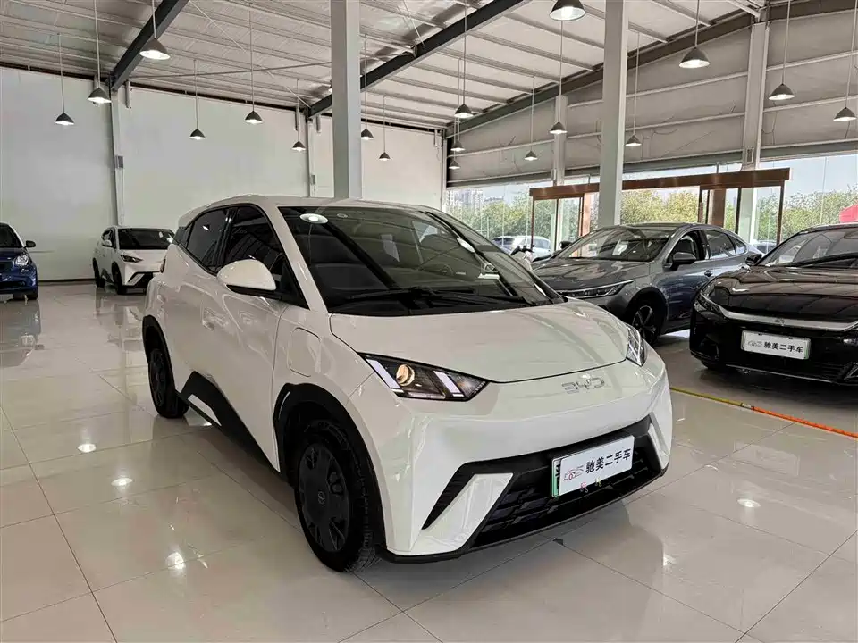 BYD Seagull