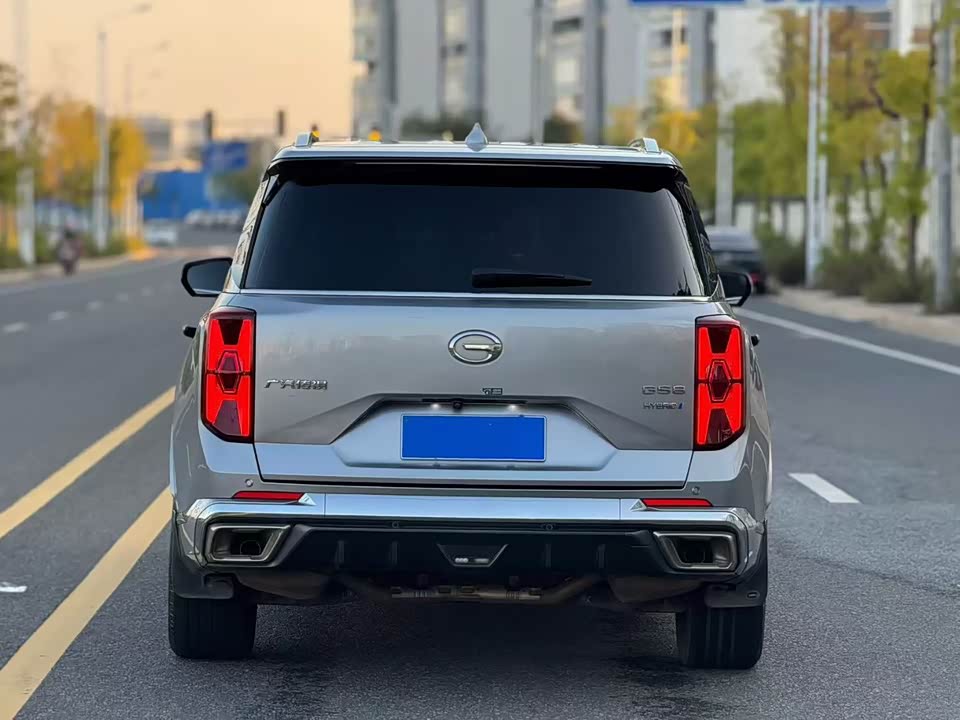 Trumpchi Trumpchi GS8