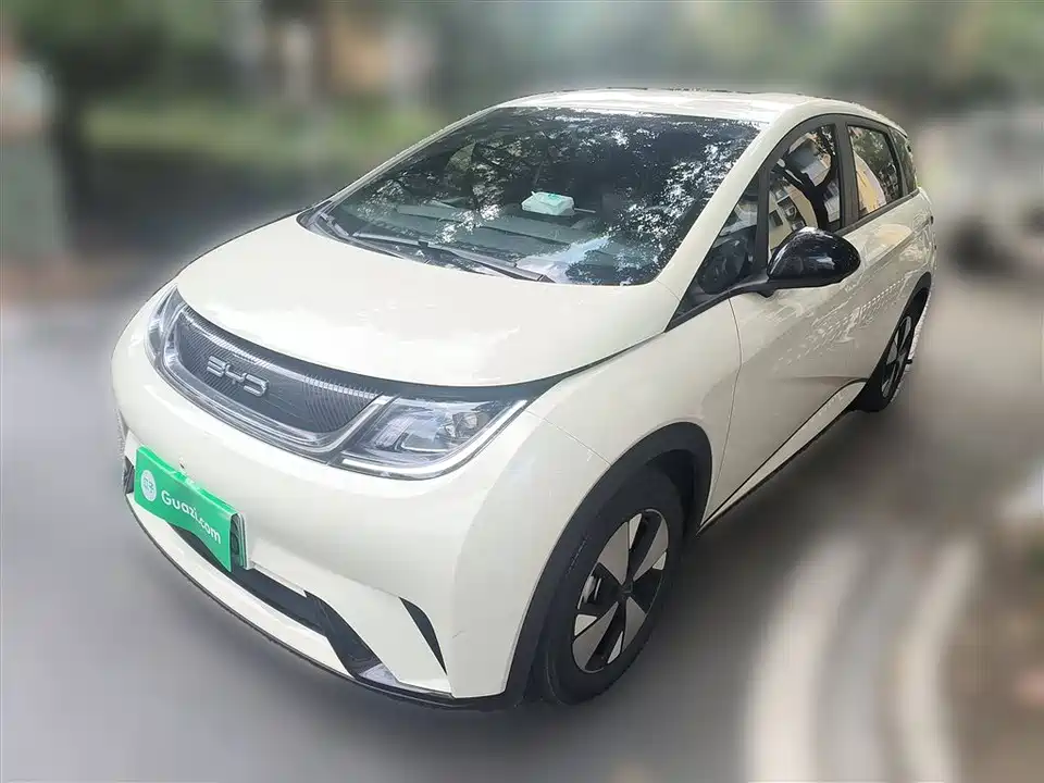 BYD dolphin