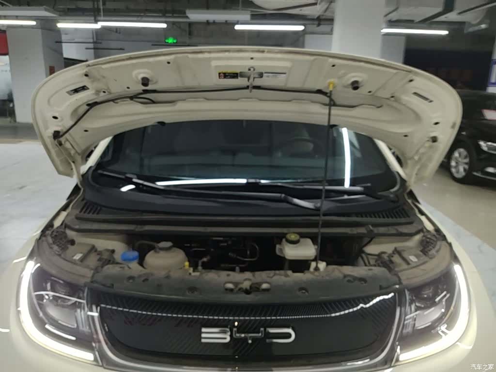 BYD Dolphin, 2024 20