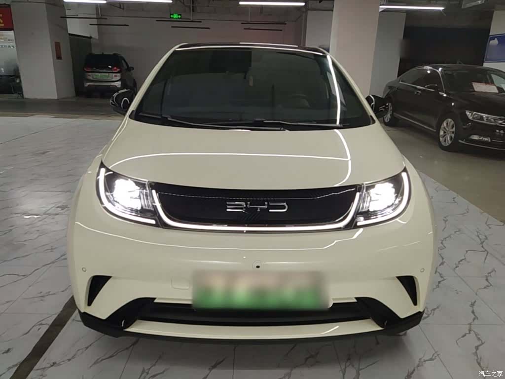 BYD Dolphin, 2024 3