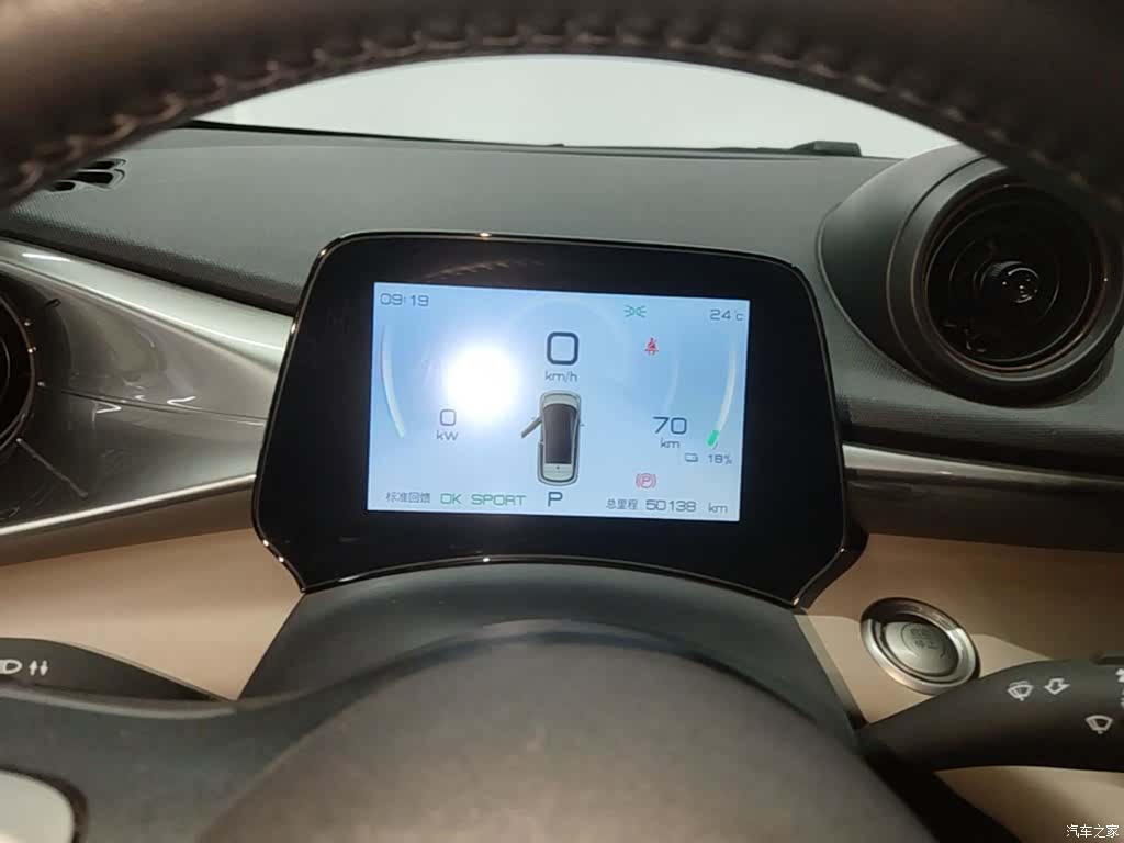 BYD Dolphin, 2024 12