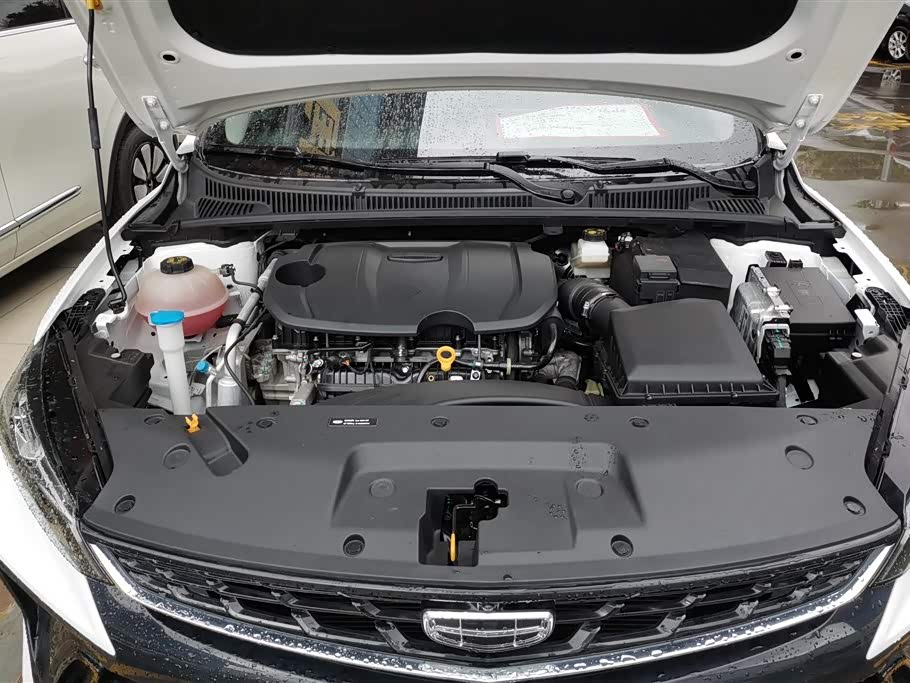 Geely Binrui Geely Binrui