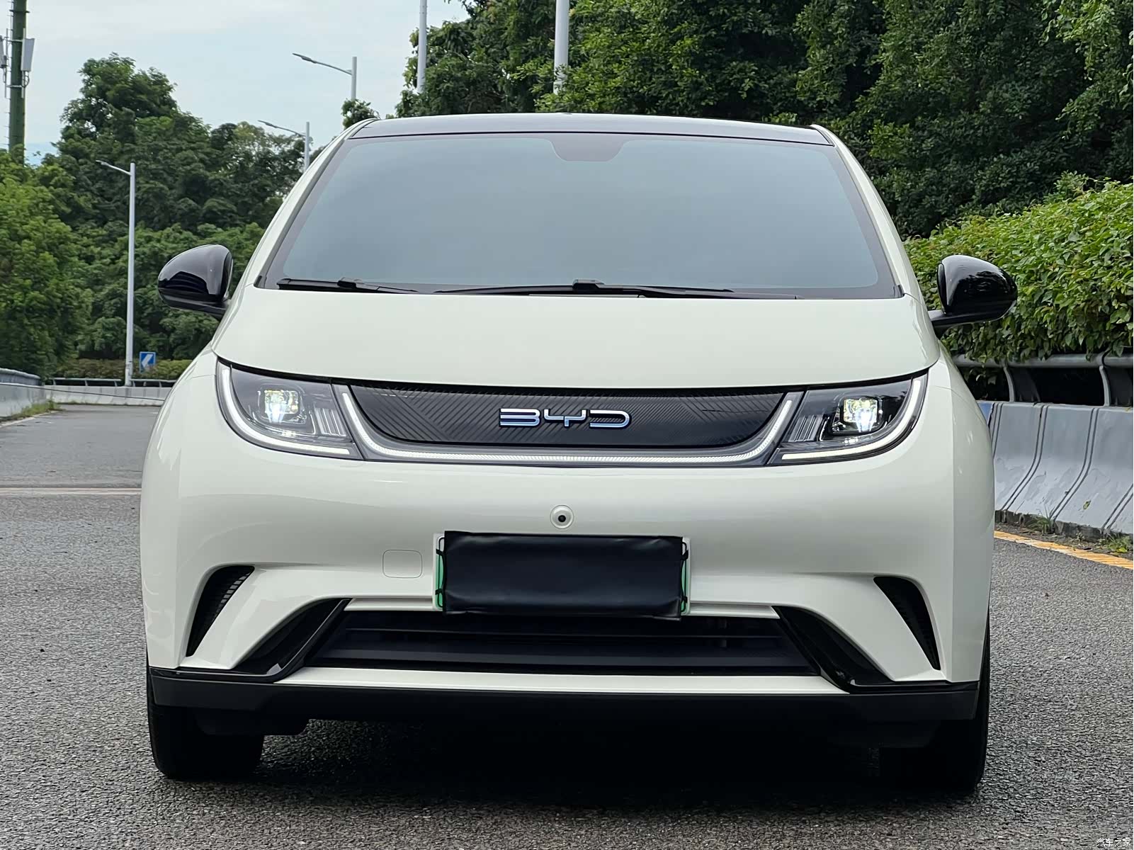 BYD Dolphin, 2022 2