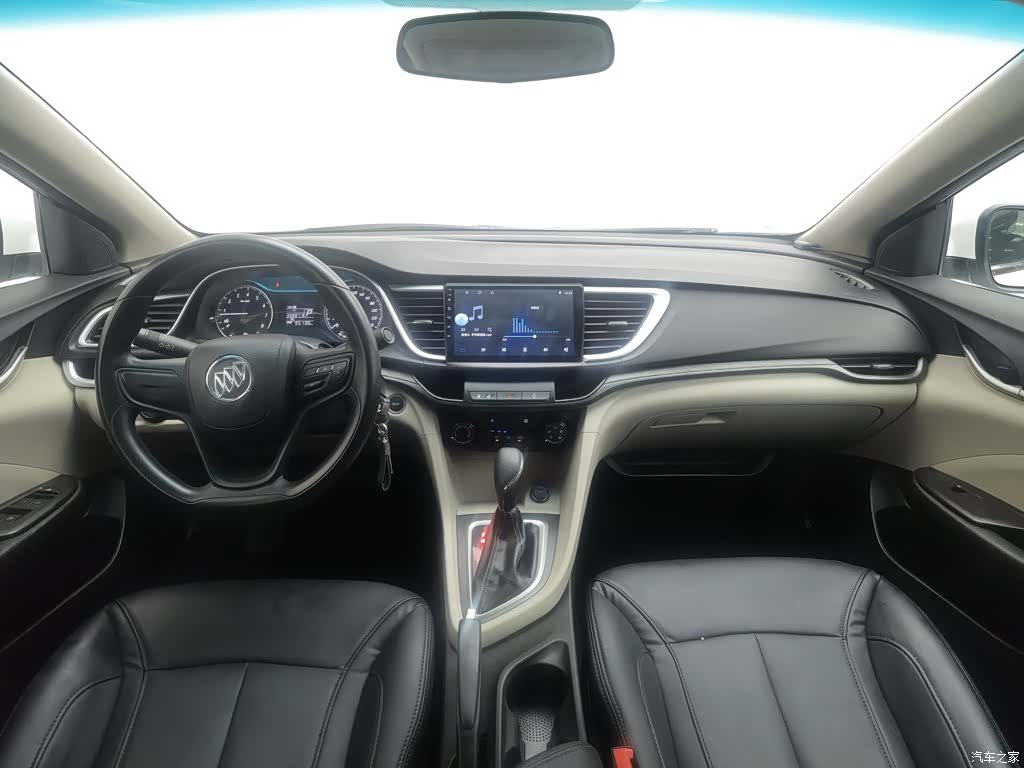Buick 15N, 2017 все фото