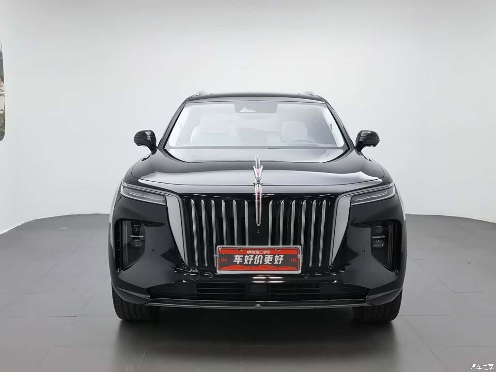 Hongqi E-HS9, 2022 3