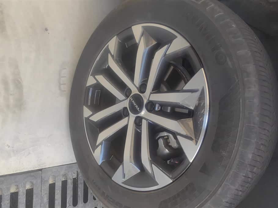 Haval Second-generation big dog Haval Second-generation big dog
