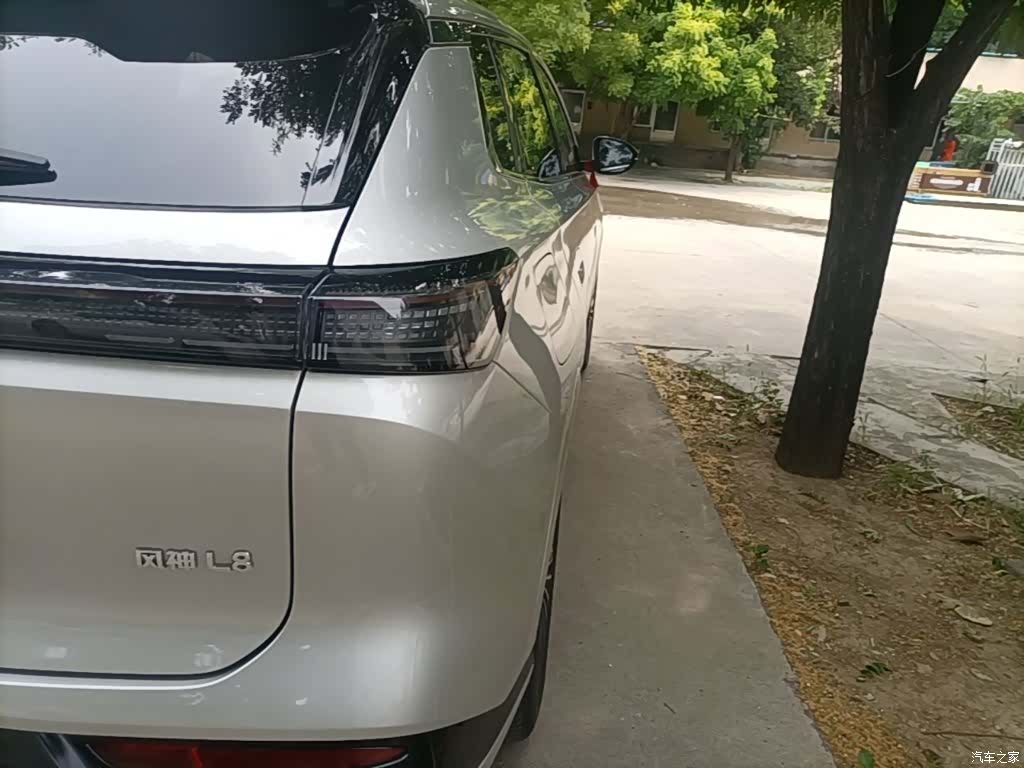 DongFeng L8, 2025 8