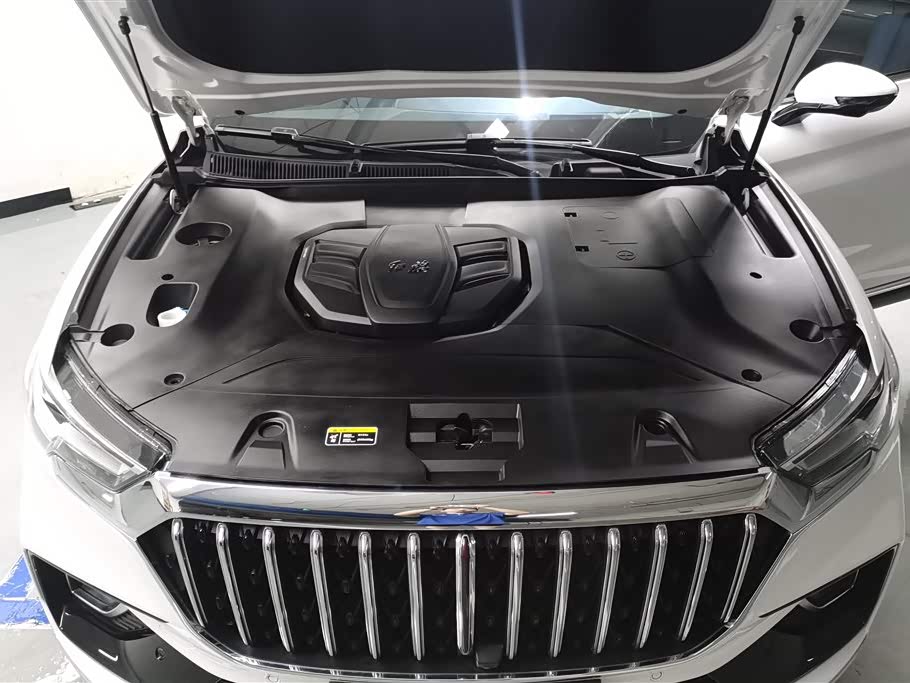 Hongqi HS5