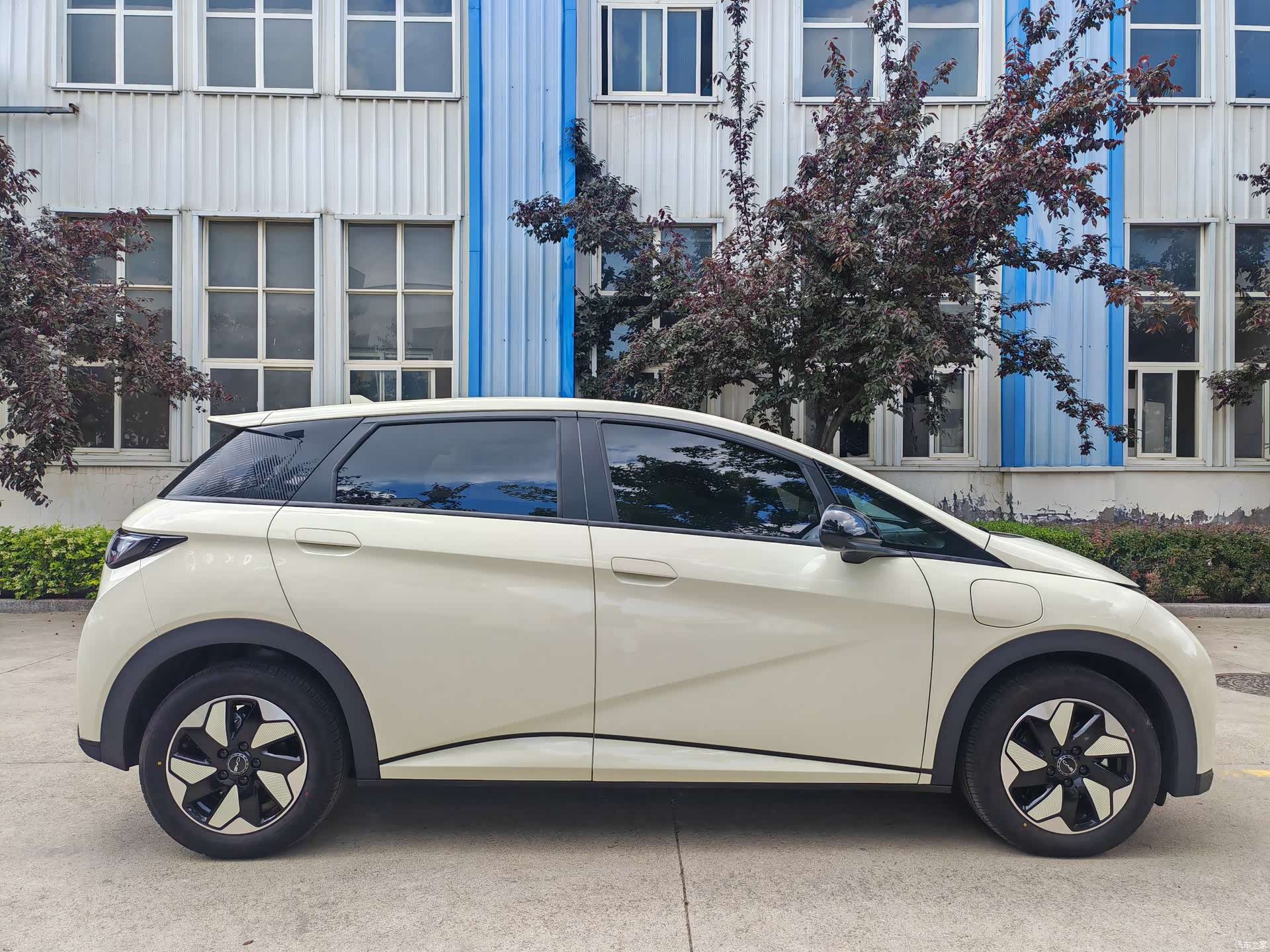 BYD Dolphin, 2026 4