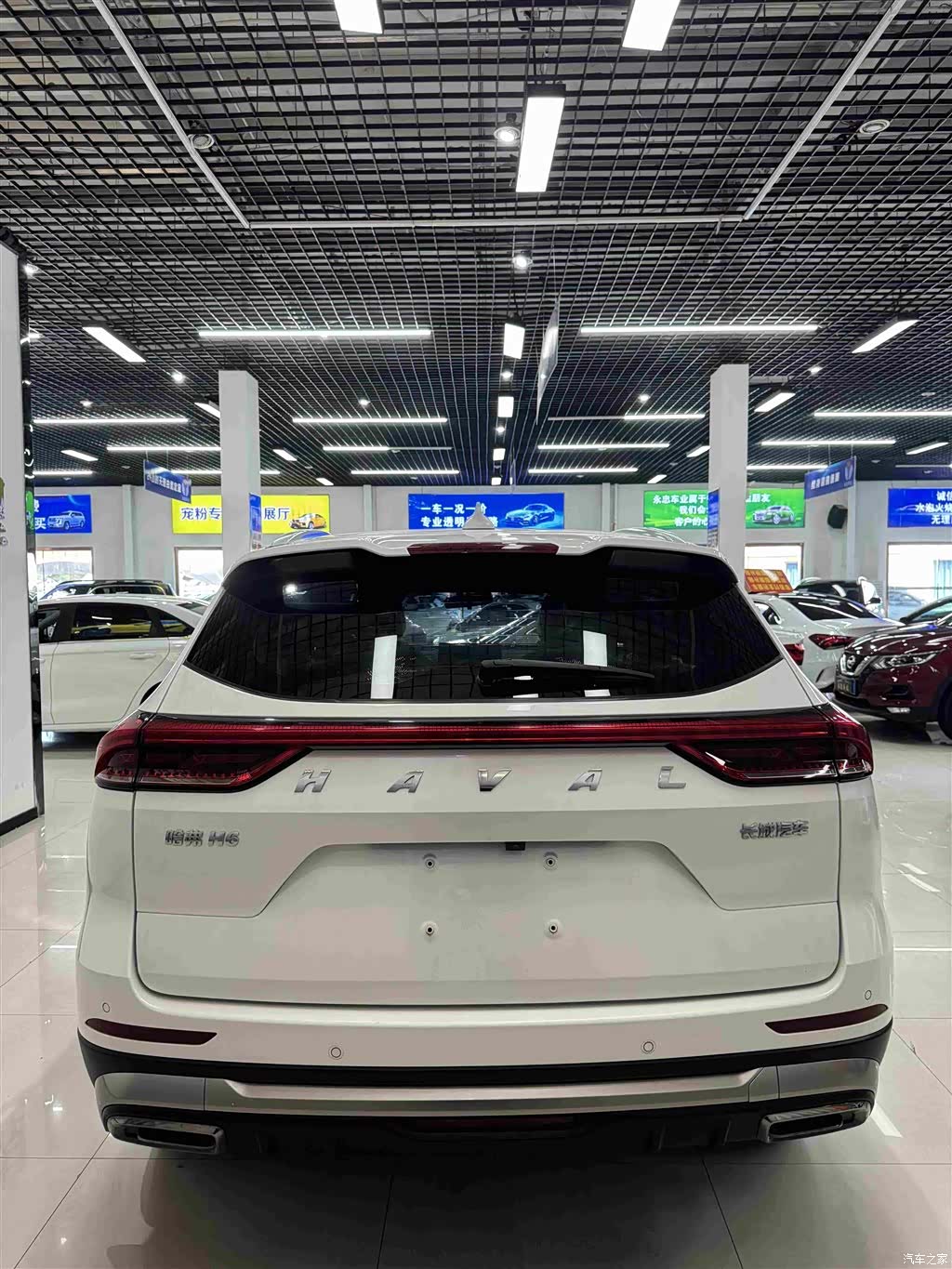 Haval H6, 2023 все фото