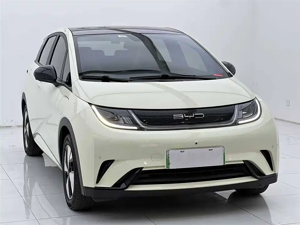 BYD dolphin
